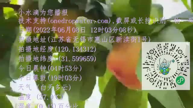 FrI8_GqDDeaNjlW2VS5FyGWjmvBMmp4