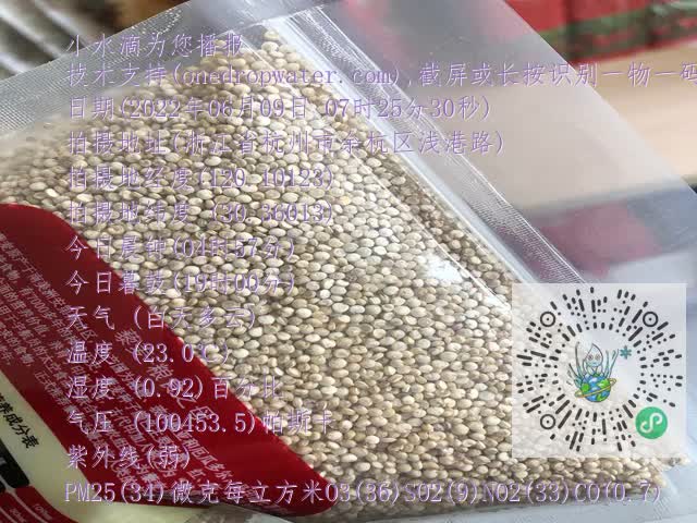 f54041257ae528c1cb15dac07cb202dc.mp4