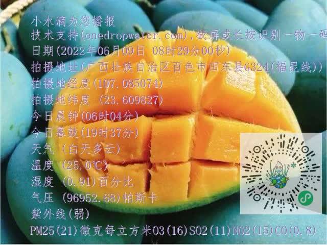 73494d77cb606d36ec27b666fd711518.mp4