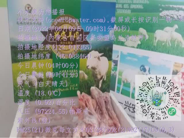 0.mp4