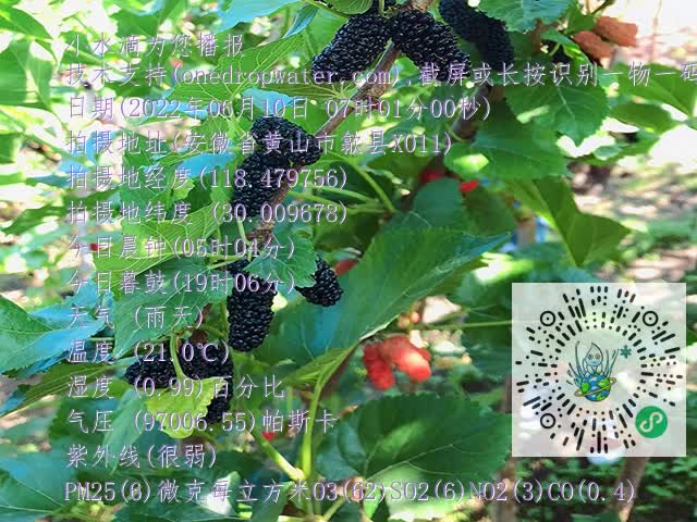 18053b670e2cd33b08f50659850fbd57.mp4