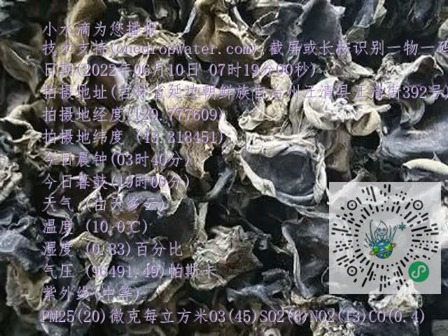 0.mp4