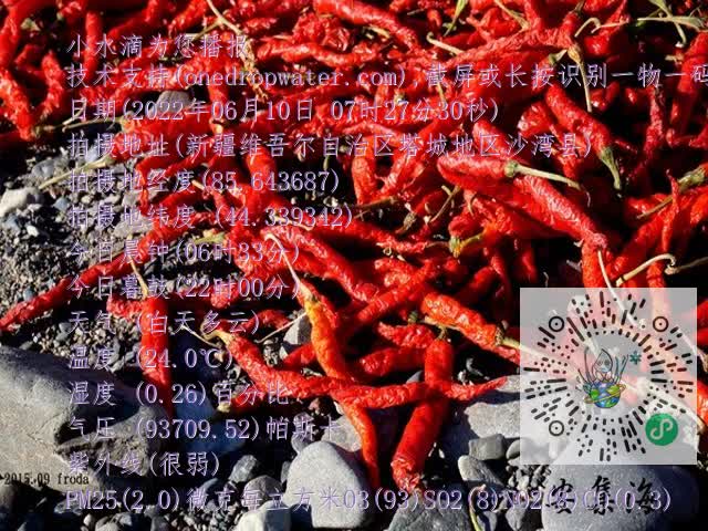 0.mp4