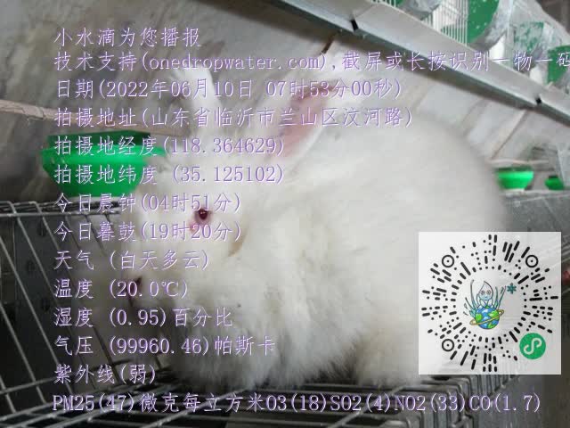 0.mp4