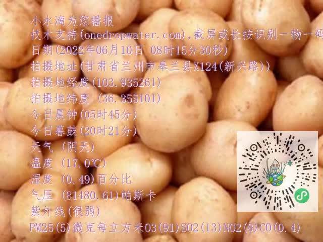 0.mp4