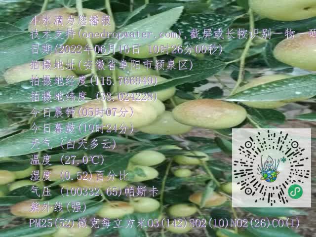 0.mp4