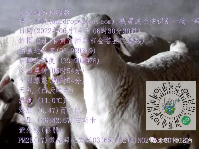 0.mp4