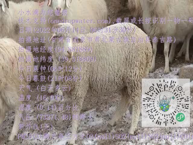 0.mp4
