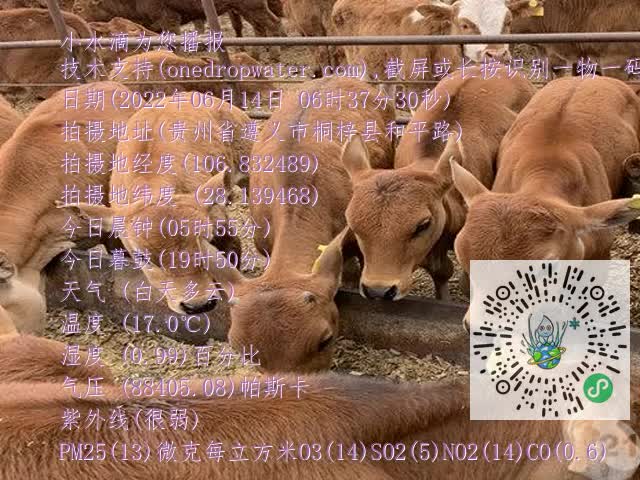 0.mp4