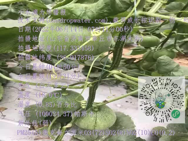 0.mp4