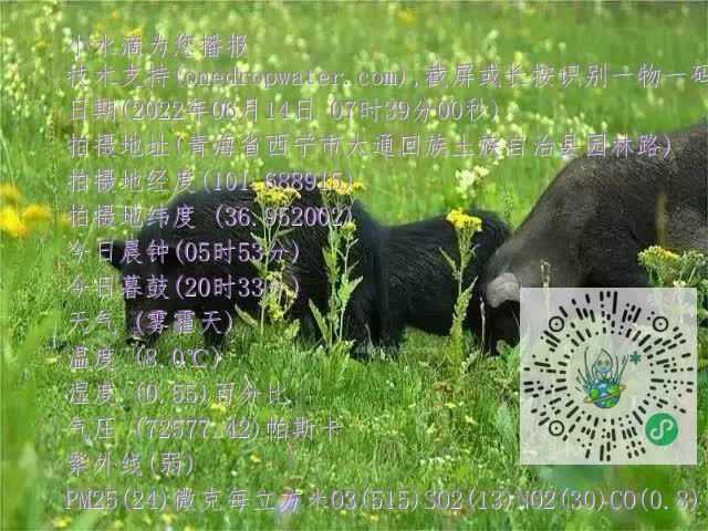 0.mp4