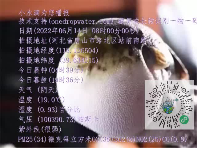 0.mp4