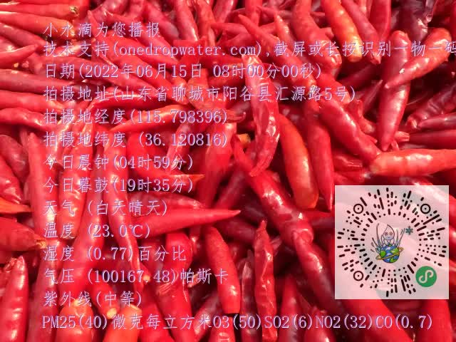 0.mp4