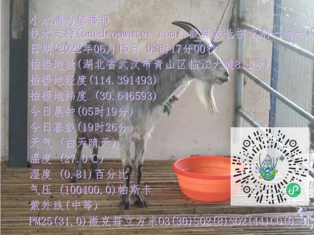 0.mp4