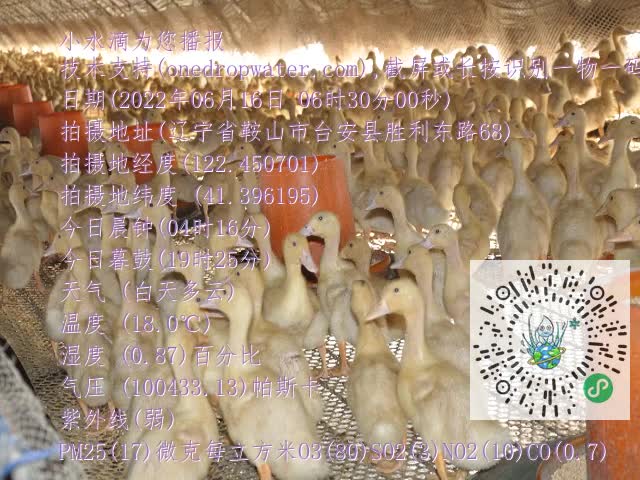 0.mp4