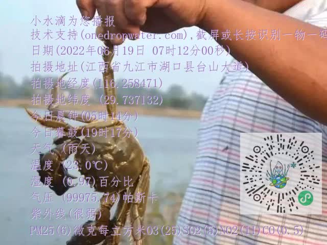 0.mp4