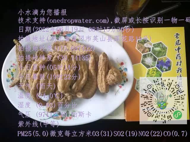 0.mp4