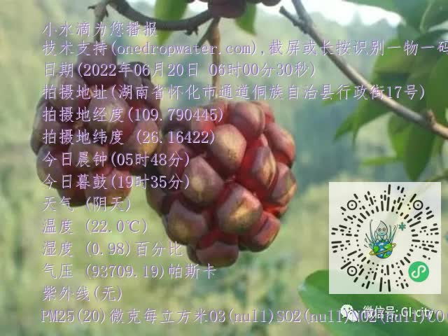 0.mp4