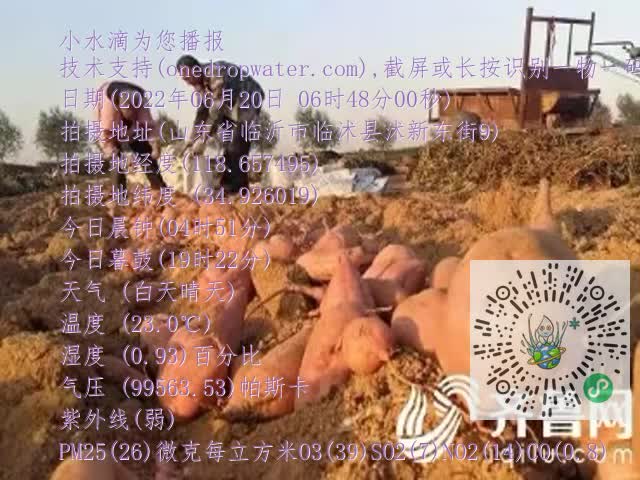 0.mp4