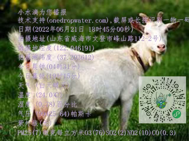 0.mp4