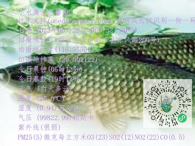 0.mp4