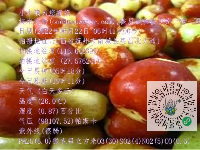 0.mp4