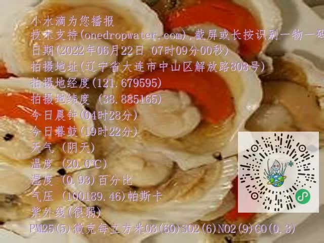 0.mp4