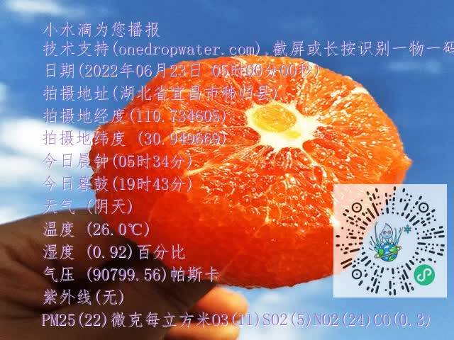 2dd7c92454ed3c2c0b797e257031d008.mp4
