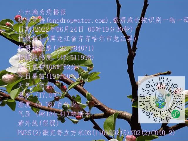 d77827fd2f4aa417a715d1dc90323eb3.mp4