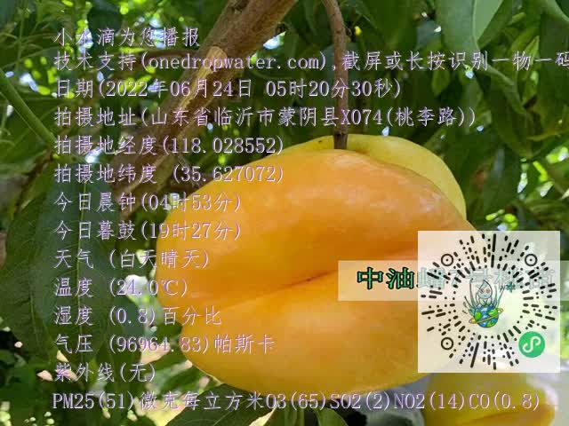 ca787f73a8798aa43d40934c56412274.mp4