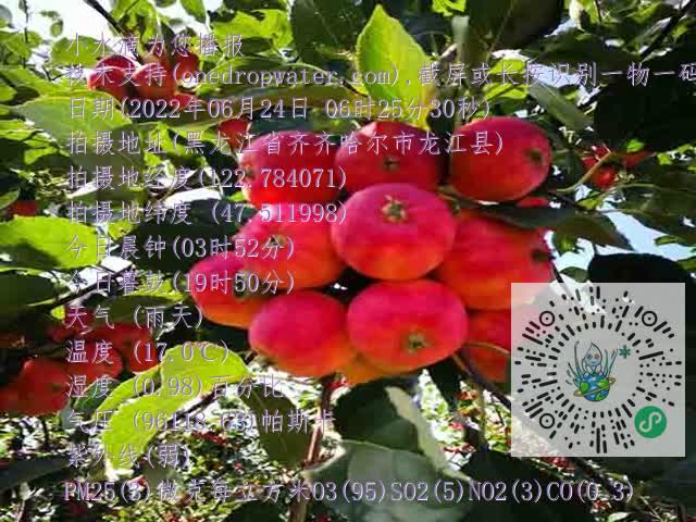 9e52d468dd5ff3824cf170518c89640c.mp4