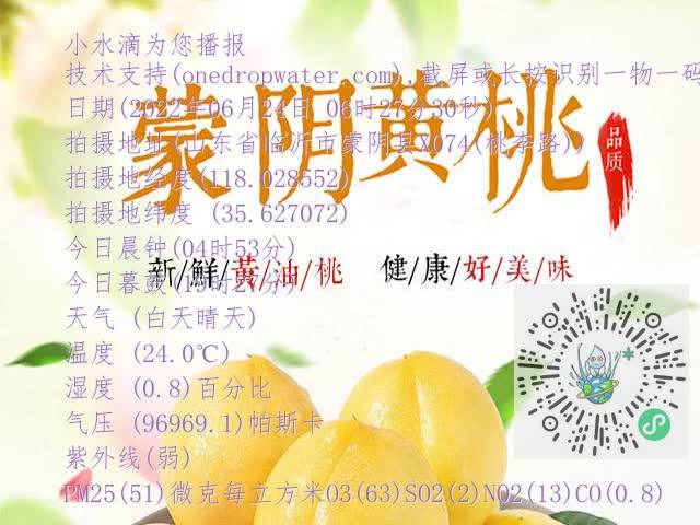 3fae5a0705537a43980c1c02cdb77117.mp4