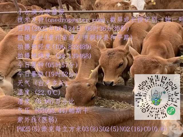 0.mp4