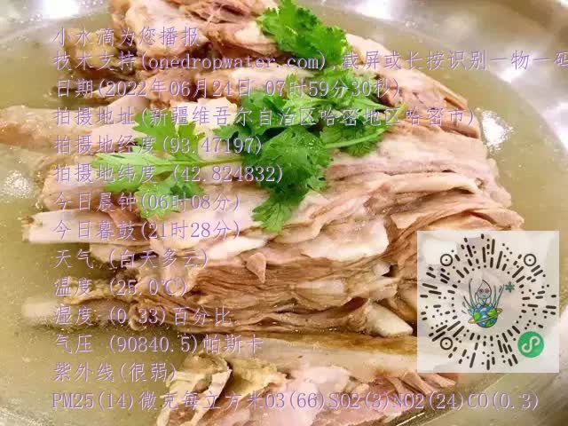 0.mp4