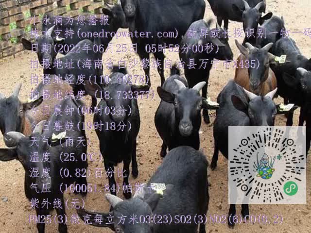 0df6b02a845ca5a6ab241ea637f45922.mp4