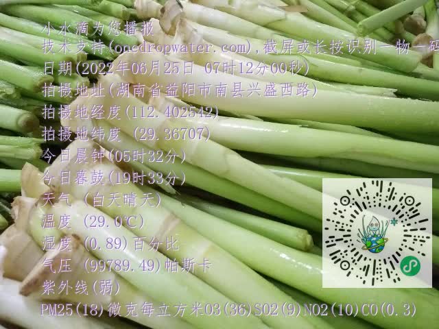 0.mp4