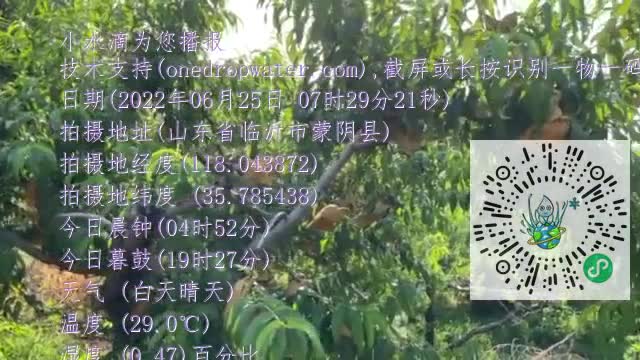 Fqs3I9qGJWC-6XfwLuoXrB5PHBLWmp4