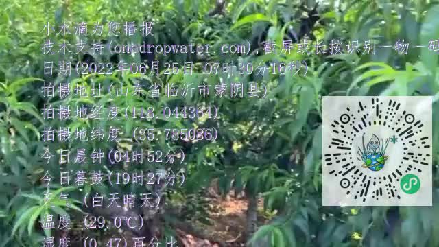 FvIgTNcbyM8hWvuR6bhTbHaiu62fmp4