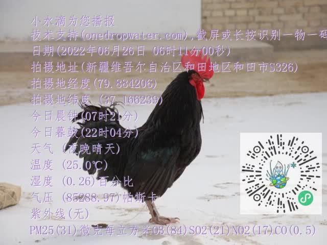 0.mp4
