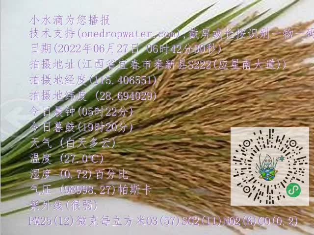 0.mp4