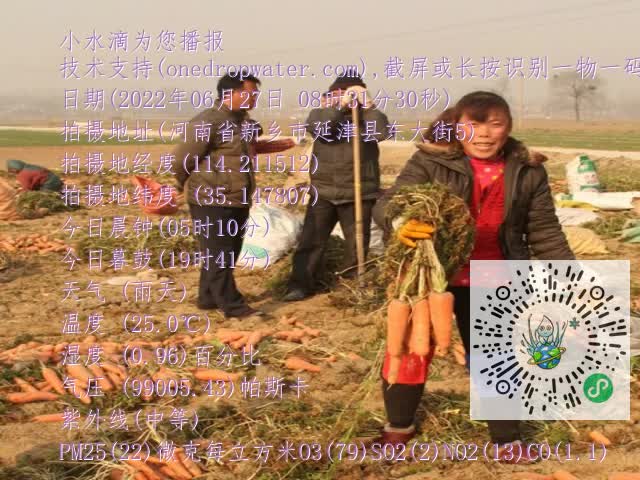 0.mp4