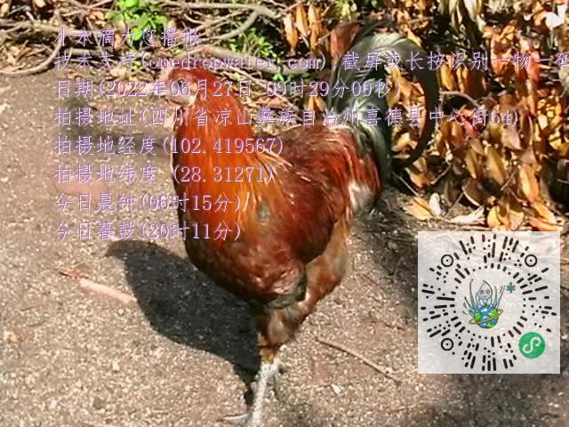 0.mp4