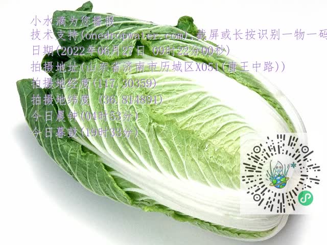 0.mp4