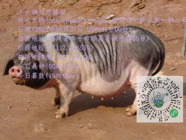 0.mp4