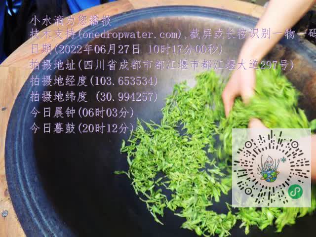 0.mp4
