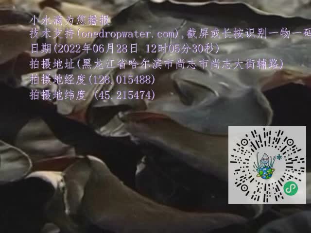 0.mp4