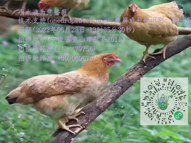 bc183d5cd9b8817688c971b5abad9dc1.mp4