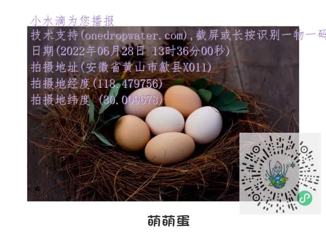 132b7dc3e65df8fe6cae9da93c0655d9.mp4