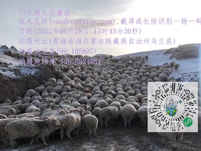 20a37bd5021d21591bac0a734073c578.mp4