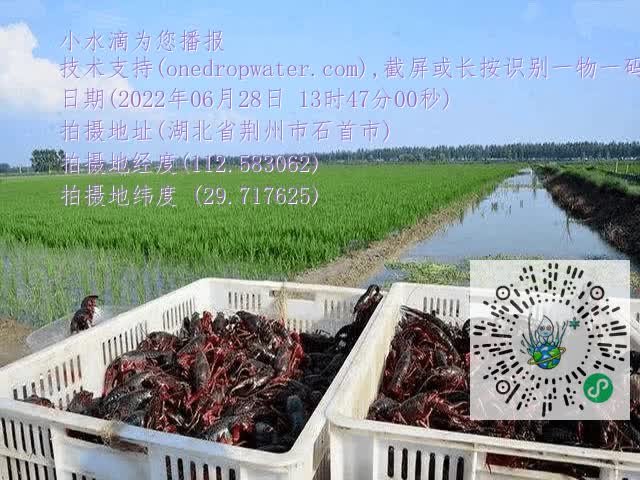 9c8b76a398c17587dc2fc48d5d266ed1.mp4